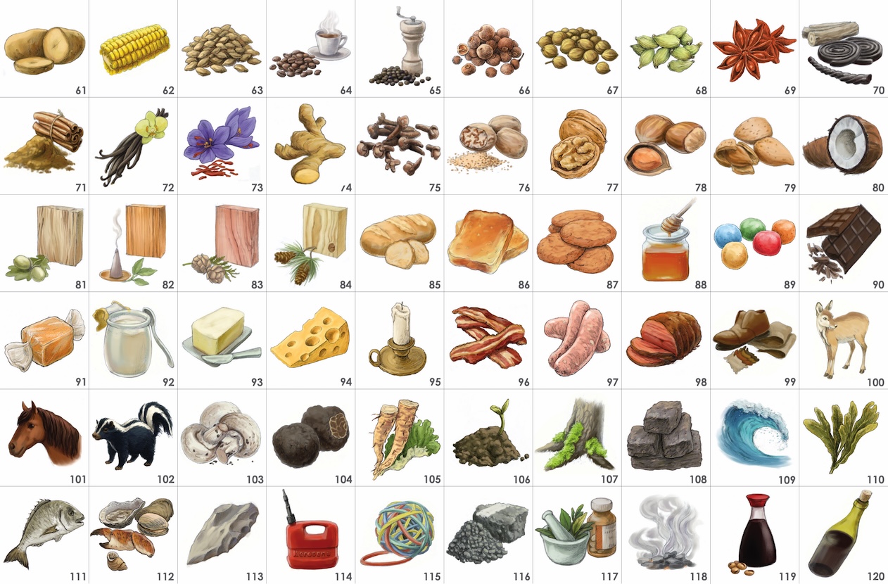 Illustration board of aromas 61 to 120 of the Aromathèque, flowers to roasted notes