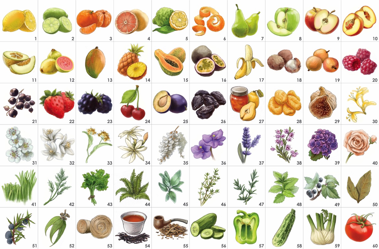 Illustration board of the first 60 Aromathèque aromas, fruits to vegetables, numbered 1 to 60