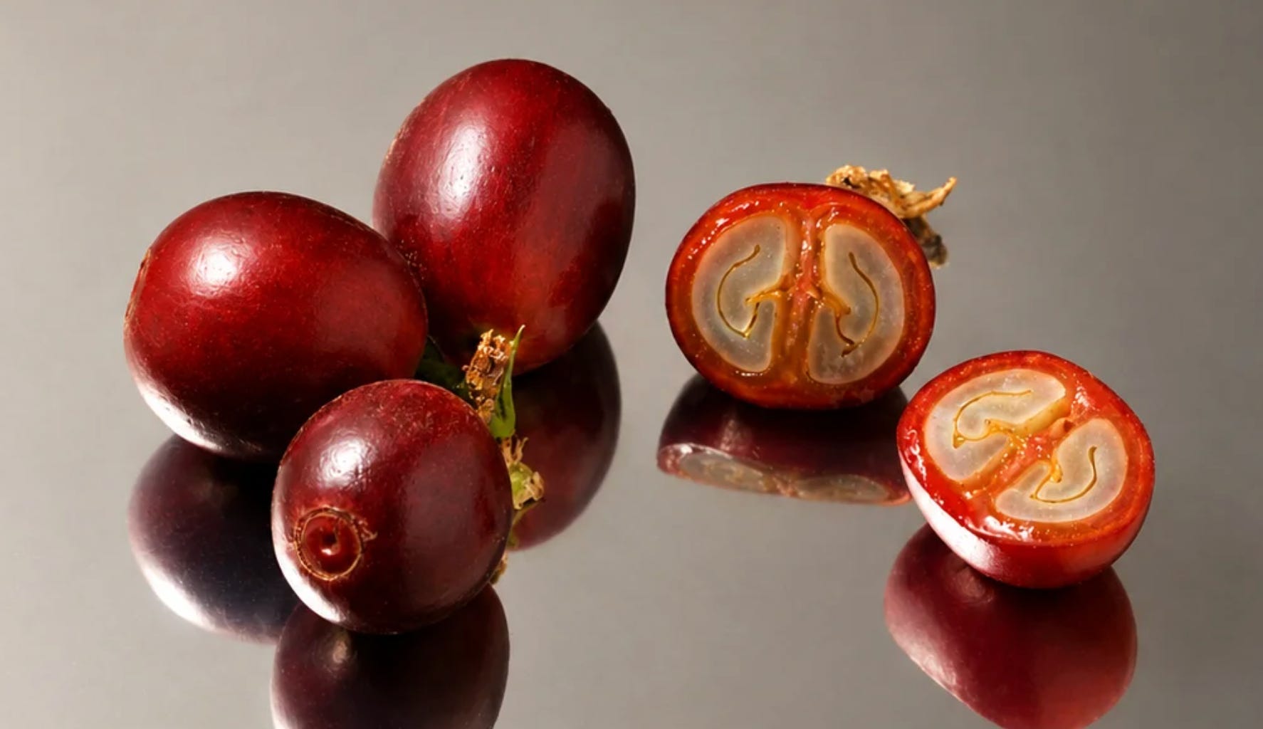 The Anatomy of a Coffee Cherry
