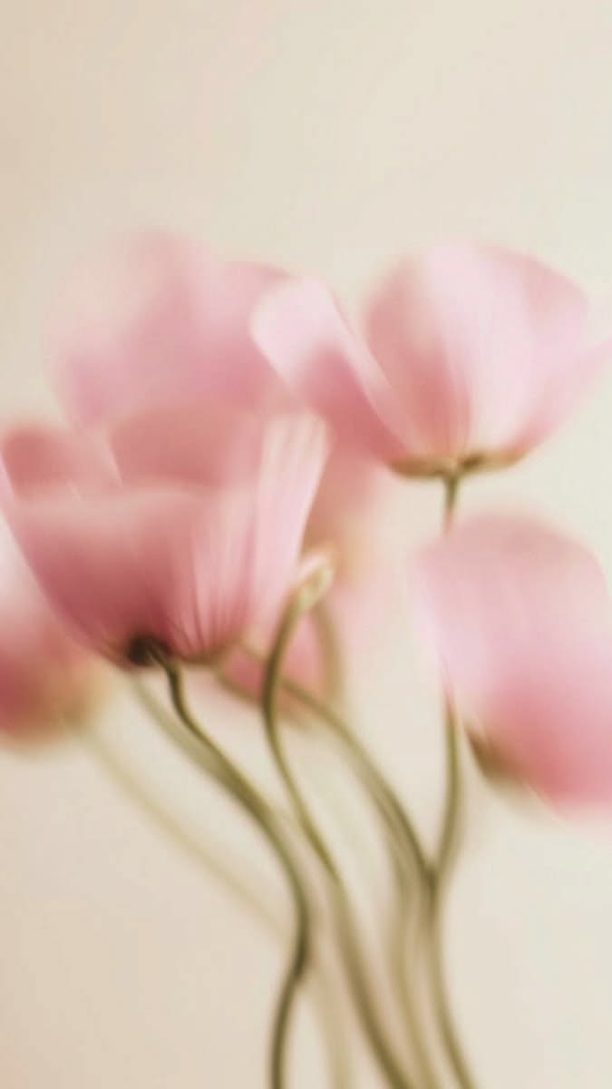 Soft pink flowers in motion